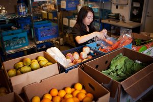 Polack Food Bank and Farm Partnerships