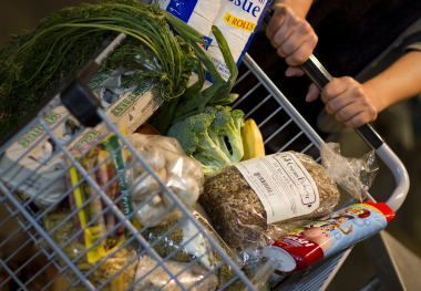 A Visual Tour of the Food Bank