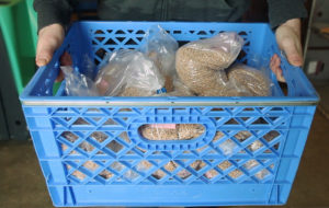 Volunteers pack up crates of gretchka or buckwheat for the trip to the Eastside Food Bank.