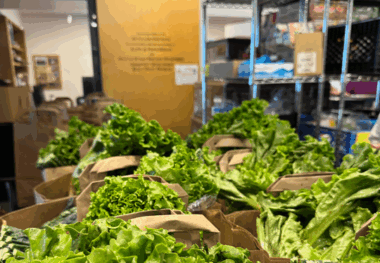 Hunger Can’t Wait: Devastating Cuts to Food Assistance Programs