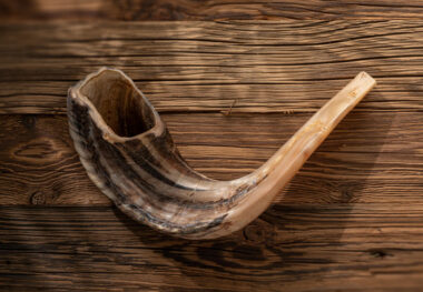 The Shofar: Cries and Action 